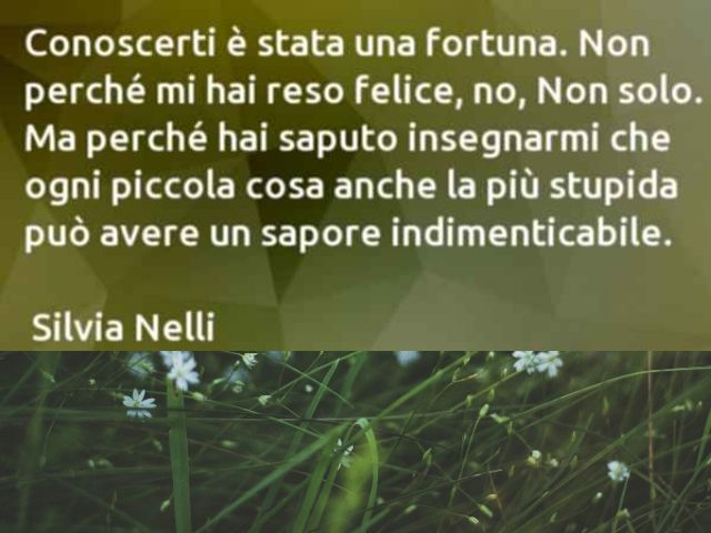 Conoscerti è stata una fortuna. Non perchè mi hai reso felice, no. Non solo. Ma perché hai saputo insegnarmi che ogni piccola cosa anche la più stupida può avere un sapore indimenticabile(Silvia Nelli)