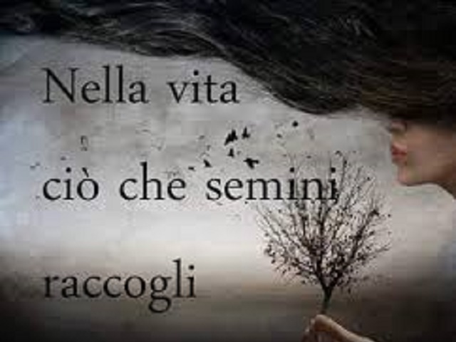 Nella vita ciò che semini raccogli.