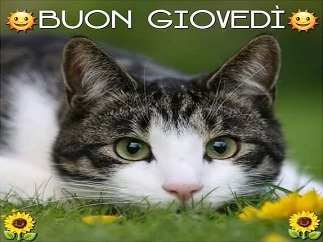 Buon giovedì