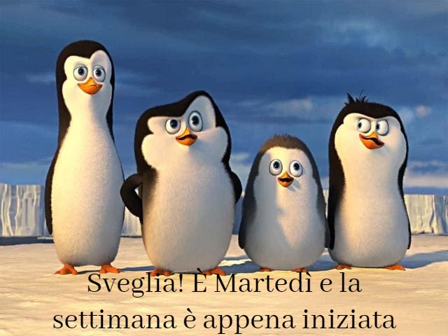 Sveglia! È Martedì e la settimana è appena iniziata
