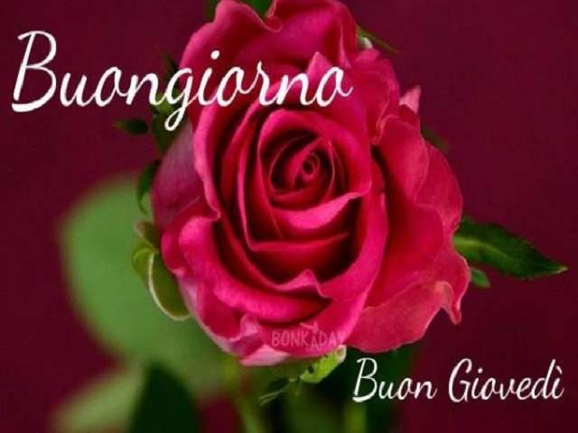 Buongiorno buon giovedì