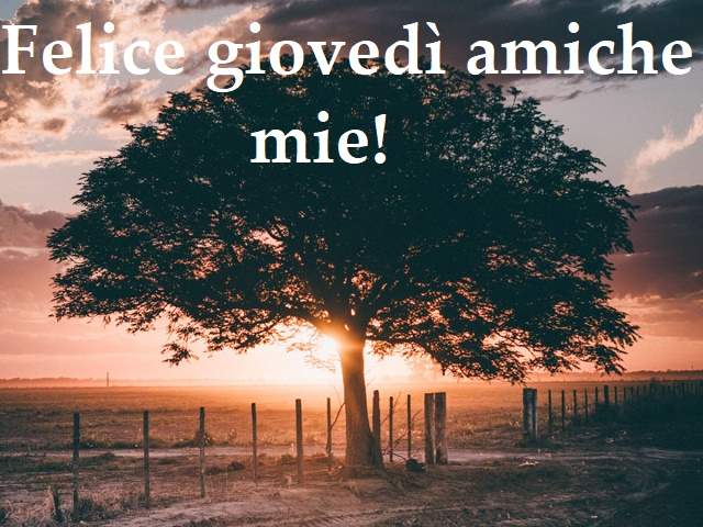 Felice giovedì amiche mie!