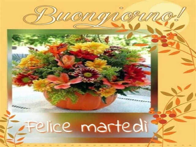 Buongiorno. Felice Martedì