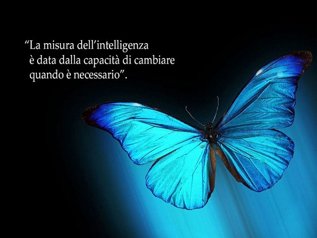 La misura dell'intelligenza è data dalla capacità di cambiare quando è necessario.