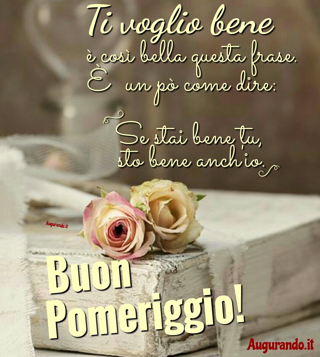 Ti voglio bene e con questa bella frase è un po come dire: se stai bene tu sto bene anch'io. Buon pomeriggio!