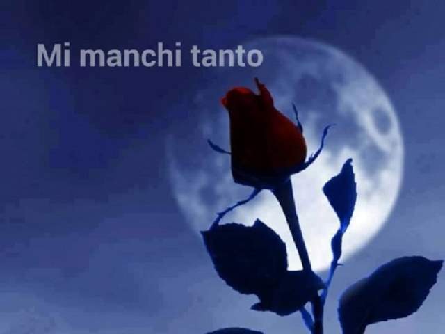 Mi manchi tanto.