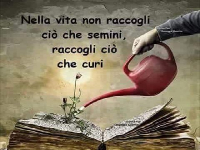 Nella vita non raccogli ciò che semini, raccogli ciò che curi