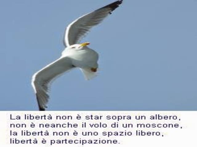 La libertà non è star sopra un albero, non è neanche il volo di un moscone, la libertà non è uno spazio libero, libertà è partecipazione.