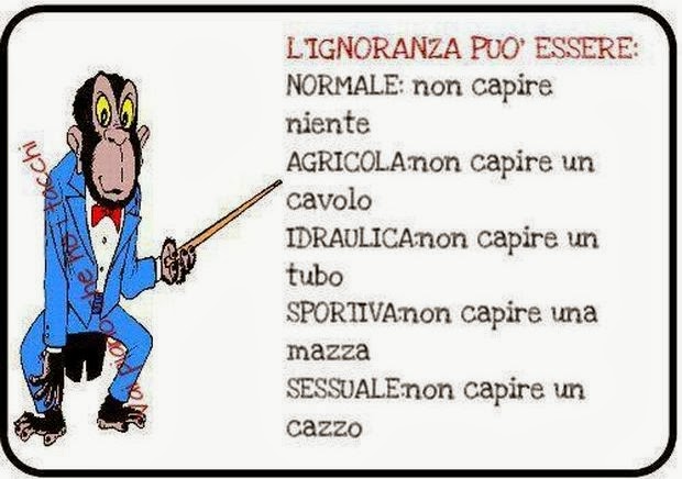 L'ignoranza può essere: Normale: non capire niente Agricola: non capire un cavolo Idraulica: non capire un tubo Sportiva: non capire una mazza Sessuale: non capire un c....