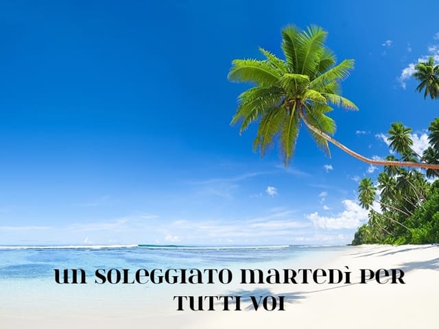 Un soleggiato Martedì per tutti voi