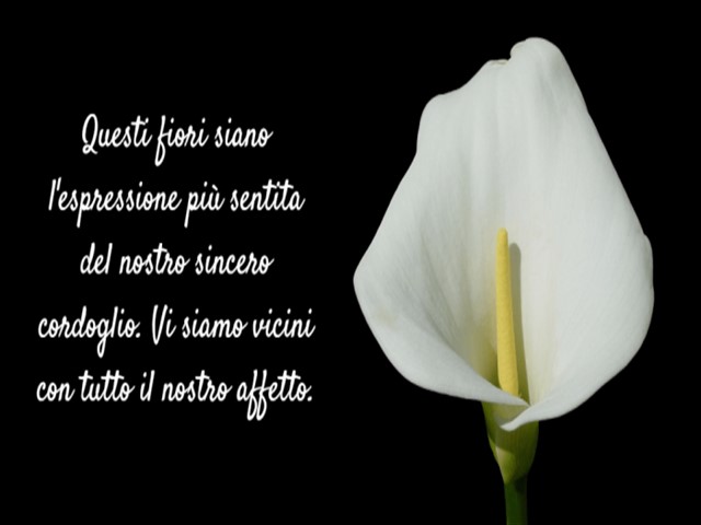 QUesti fiori siano l'espressione più sentita del nostro sincero cordoglio. Vi siamo vicini con tutto il nostro affetto.