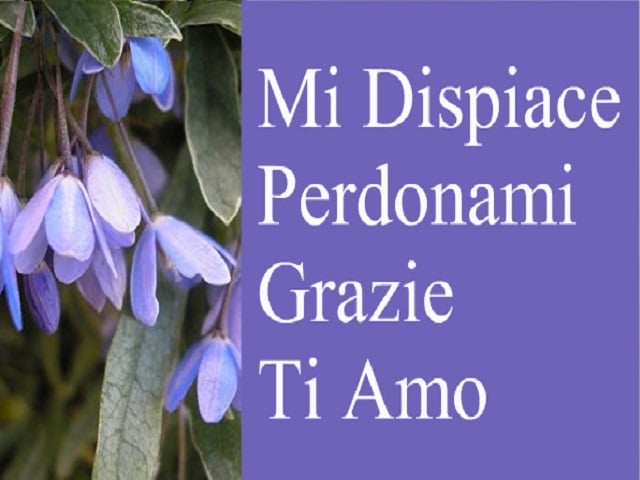 Mi dispiace perdonami grazie ti amo