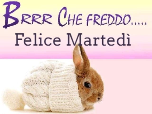 Brrr che freddo. Felice Martedì