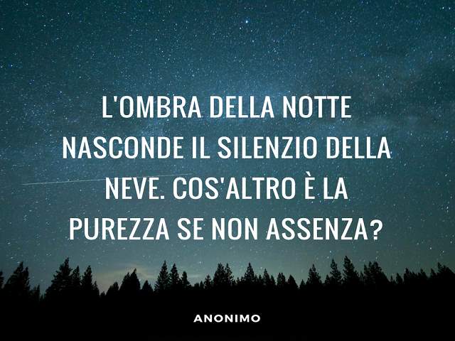 L'ombra della notte nasconde il silenzio della neve. Cos'altro è la purezza se non assenza?(Anonimo)