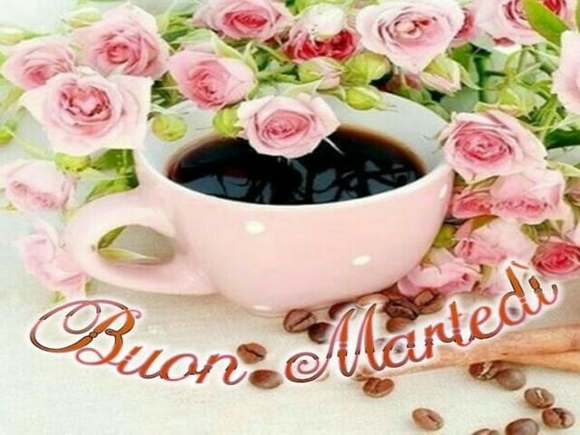 Buon Martedì