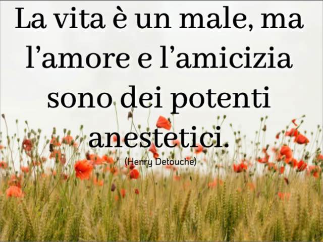 La vita è un male, ma l’amore e l’amicizia sono dei potenti anestetici. (Henry Detouche)