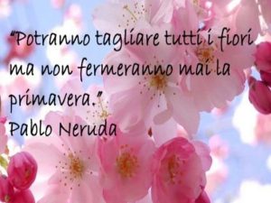 Potranno tagliare tutti i fiori ma non fermeranno mai la primavera.(Pablo Neruda)