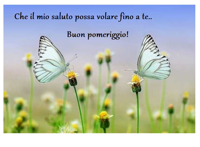 Che il mio saluto possa volare fino a te..Buon pomeriggio!