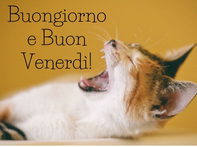 Buongiorno e buon venerdì!
