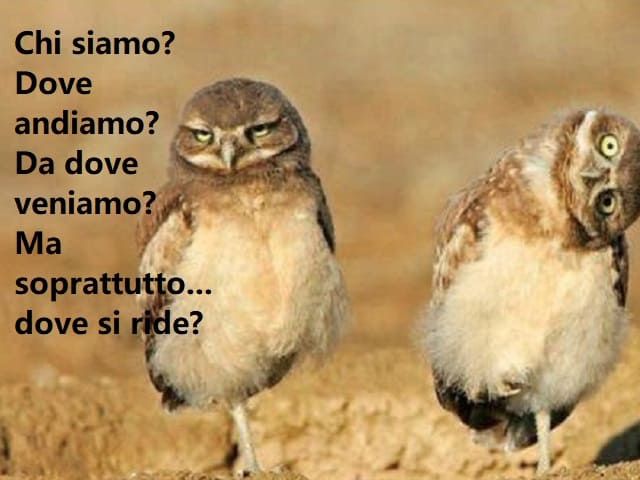 Chi siamo? Dove andiamo? Da dove veniamo? Ma soprattutto... dove si ride?
