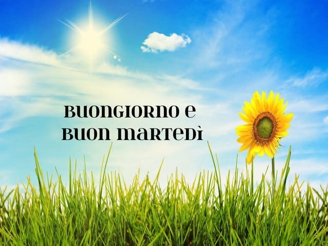 Buongiorno e buon Martedì