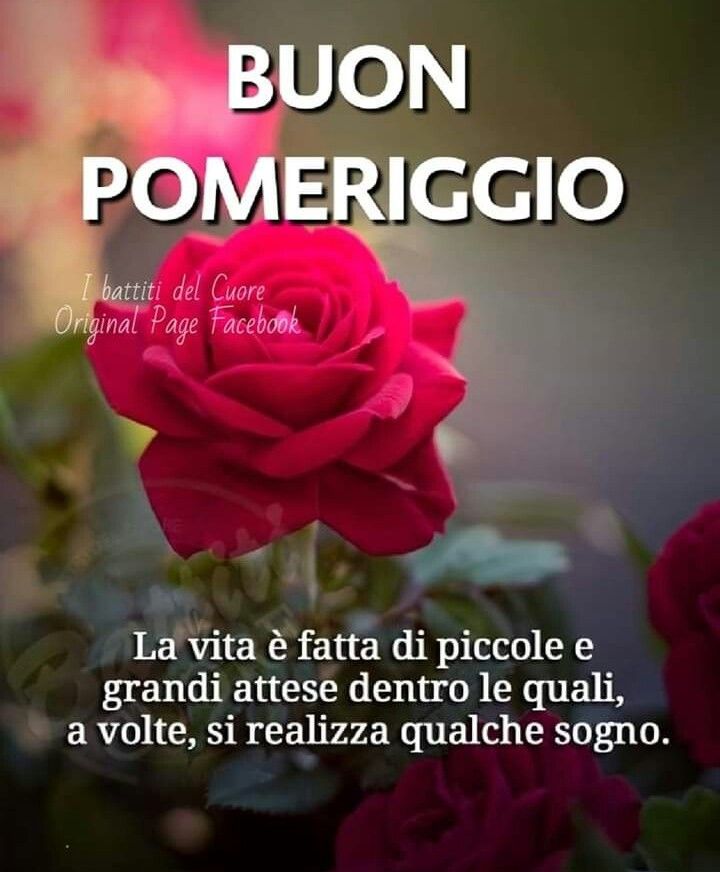Buon pomeriggio. La vita è fatta di piccole e grandi attese dentro le quali, a volte, si realizza qualche sogno.