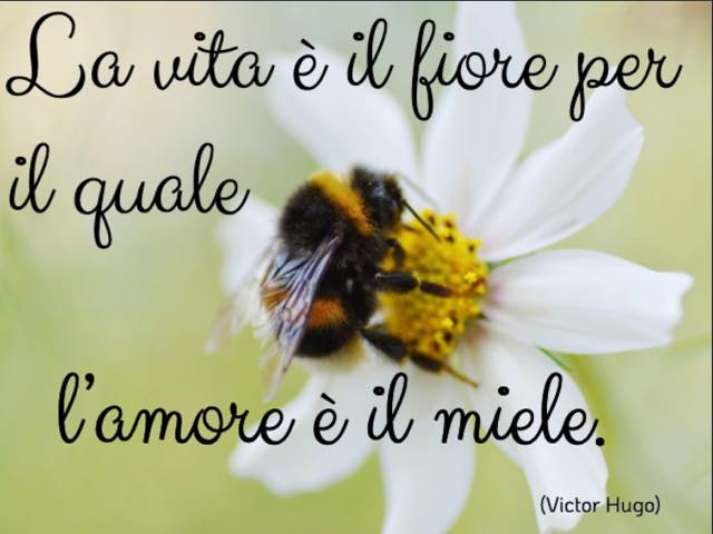 La vita è il fiore per il quale l’amore è il miele. (Victor Hugo)