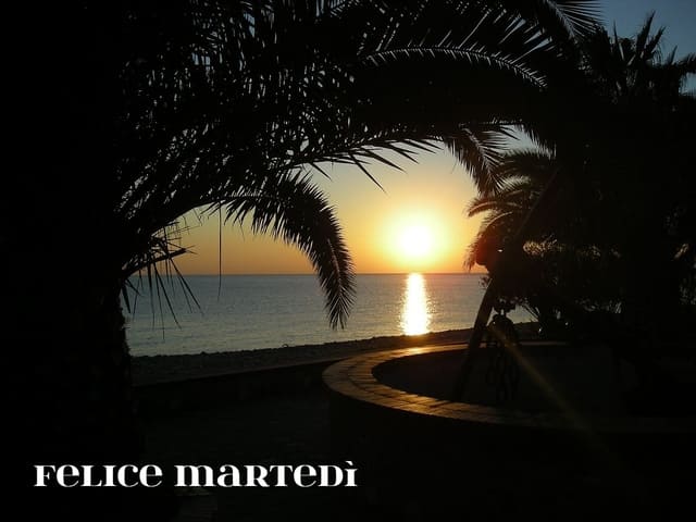 Felice Martedì