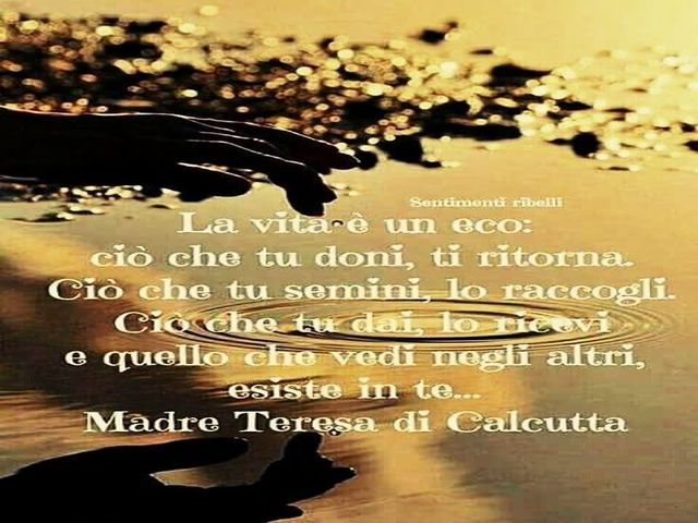 La vita è un'eco: ciò che tu doni, ti ritorni. Ciò che tu semini, lo raccogli. Ciò che tu dai, lo ricevi e quello che vedi negli altri, esiste in te... (Madre Teresa di Calcutta)