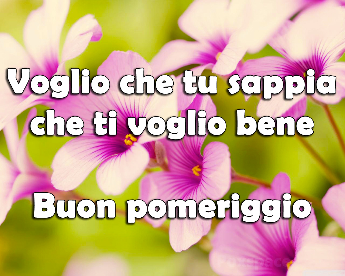 Voglio che tu sappia che ti voglio bene. Buon pomeriggio
