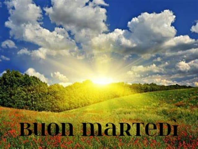 Buon Martedì