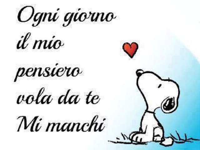 Ogni giorno il mio pensiero vola da te. Mi manchi.