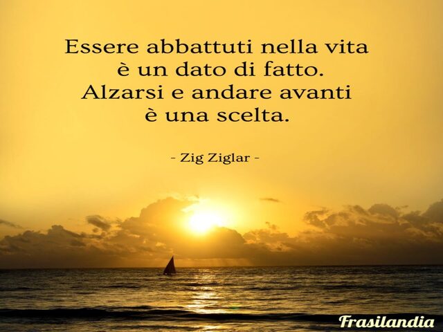 Essere abbattuti dalla vita è un dato di fatto. Alzarsi e andare avanti è una scelta. (Z.Ziglar)
