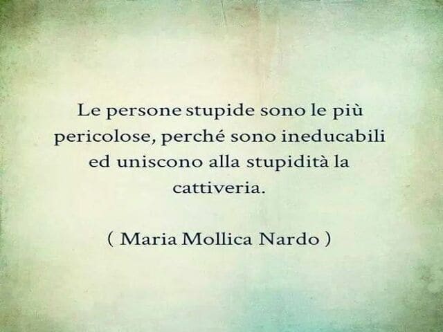Le persone stupide sono le più pericolose, perché sono ineducabili ed uniscono alla stupidità la cattiveria.(Maria Mollica Nardo)