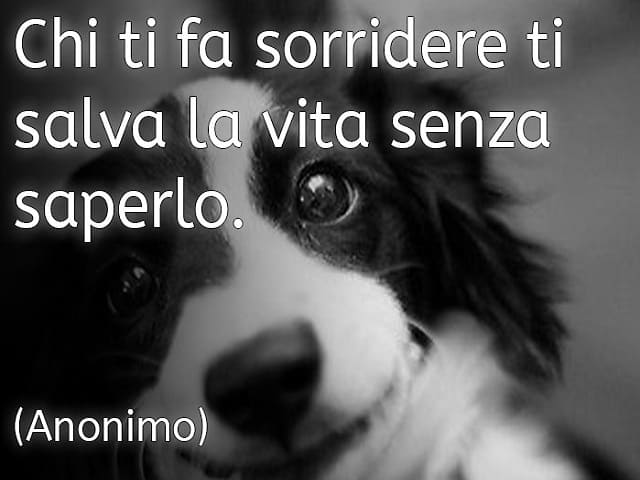 Chi ti fa sorridere ti salva la vita senza saperlo.