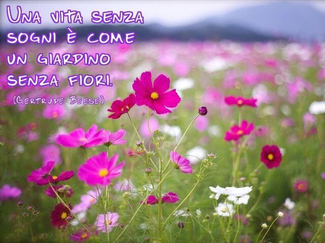 Una vita senza sogni è come un giardino senza fiori. (Gertrude Beese)