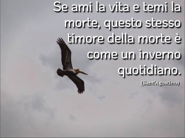 Se ami la vita e temi la morte, questo stesso timore della morte è come un inverno quotidiano. (Sant'Agostino)