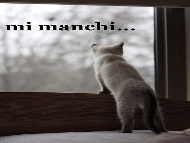 Mi manchi...