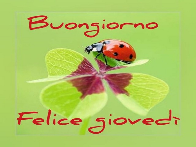 Buongiorno felice giovedì