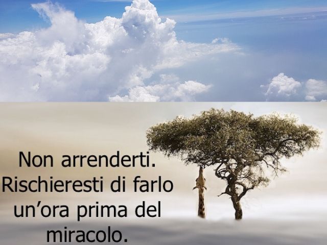Non arrenderti. Rischieresti di farlo un'ora prima del miracolo.