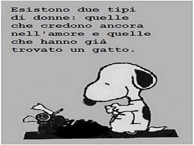 Esistono due tipi di donne: quelle che credono nell'amore e quelle che hanno già trovato un gatto.