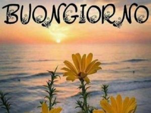 Buongiorno.