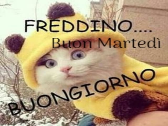 Freddino... Buon Martedì e buongiorno