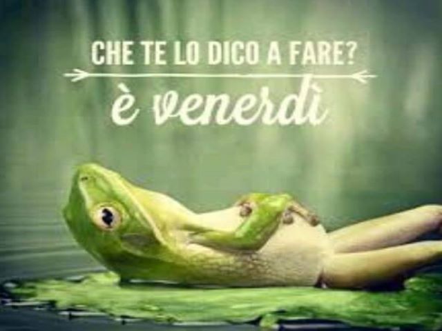 Che te lo dico a fare? è venerdì.