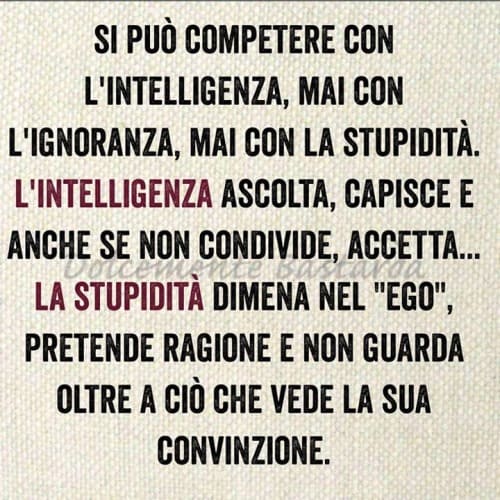 Si può competere con l'intelligenza, mai con l'ignoranza, mai con la stupidità. L'intelligenza ascolta, capisce e anche se non condivide, accetta... La stupidità dimena nell'"ego", pretende ragione e non guarda oltre a ciò che vede la sua convinzione.