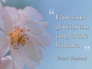 I fiori sono gli occhi con cui guardare la natura.(Gerlard Uhlenbrack)