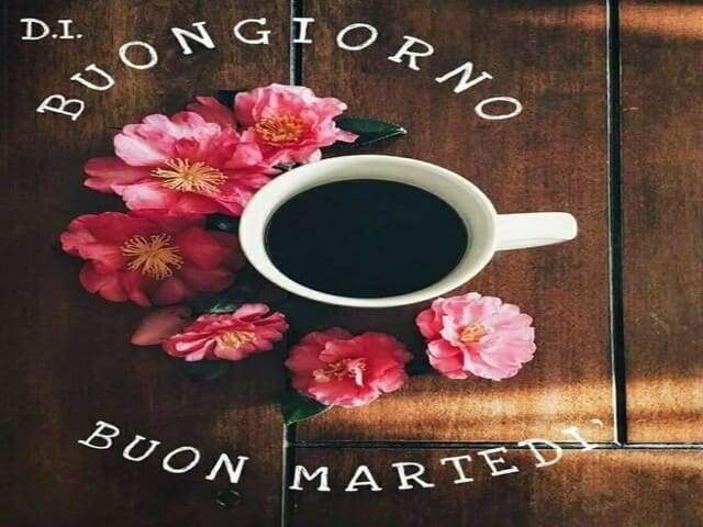 Buongiorno. Buon Martedì