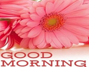 Good morning.(Buongiorno)