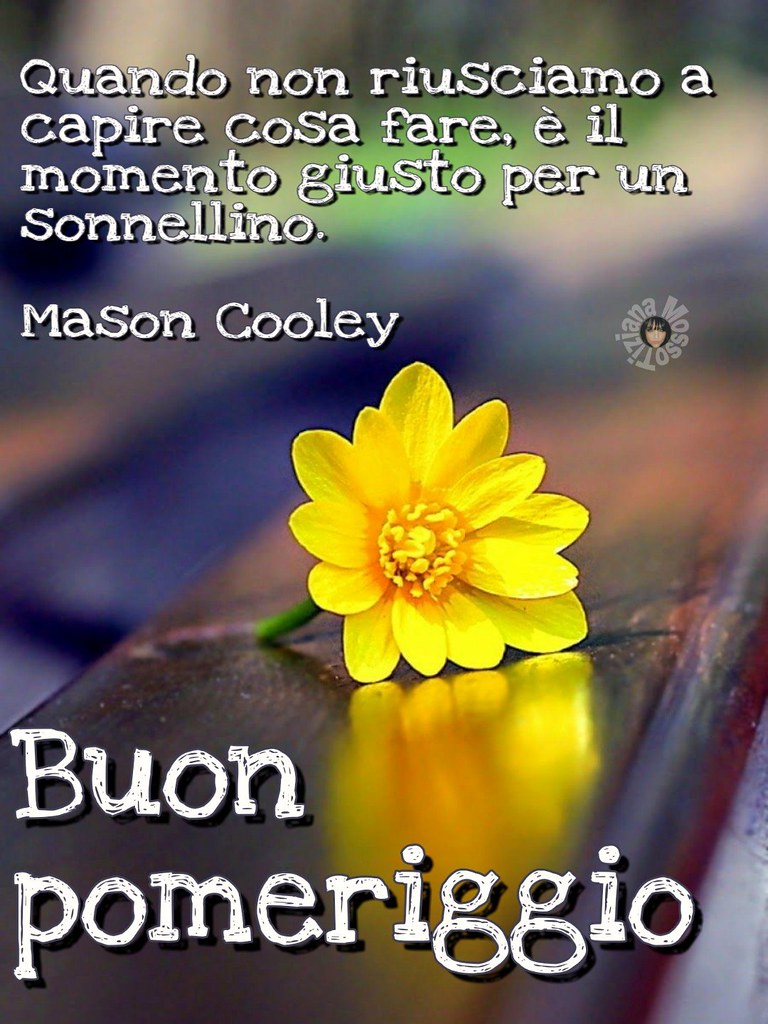 Quando non riusciamo a capire cosa fare, è il momento giusto per un sonnellino. Buon pomeriggio