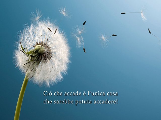 Ciò che accade è l'unica cosa che sarebbe potuta accadere!